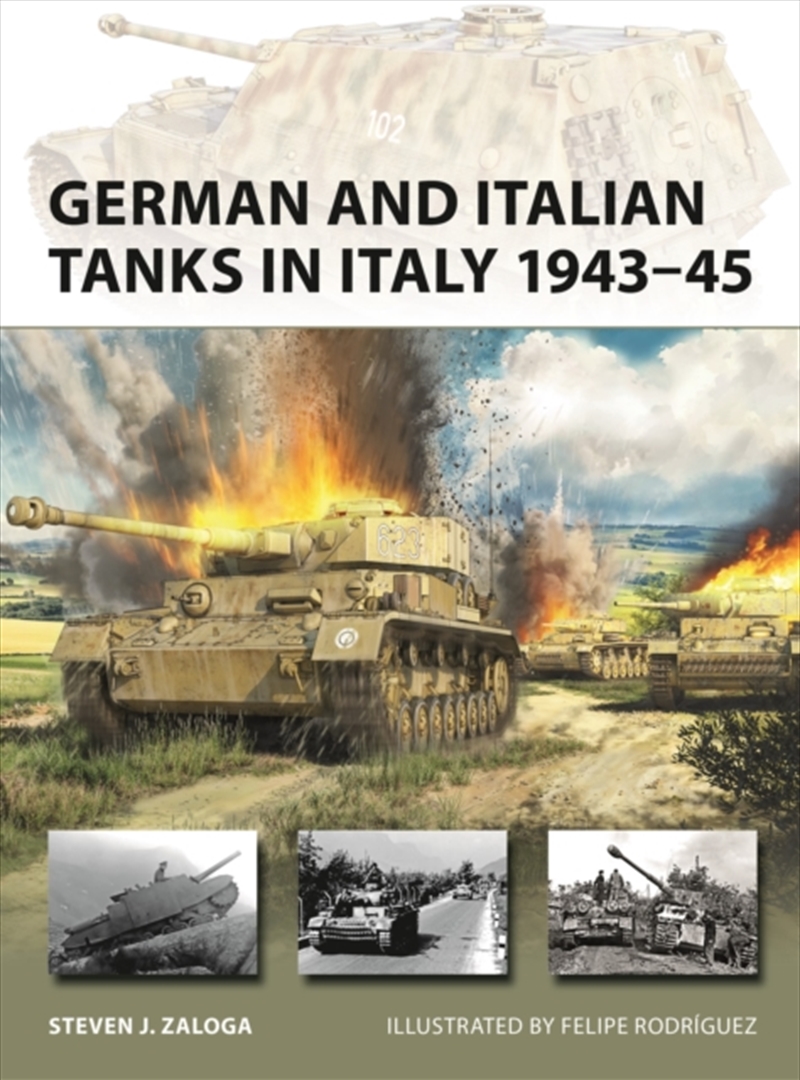 German And Italian Tanks In Italy 1943–45/Product Detail/History