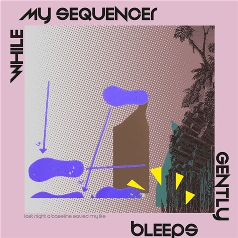 Last Night A Bassline Saved My Life/Product Detail/Dance