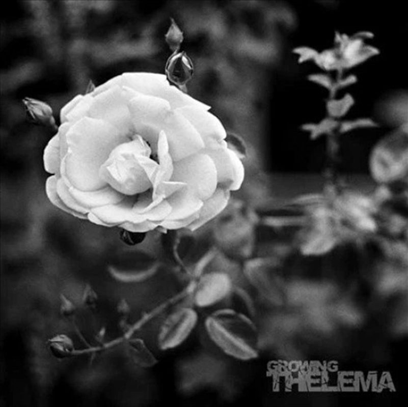 Growing/Product Detail/Rock/Pop