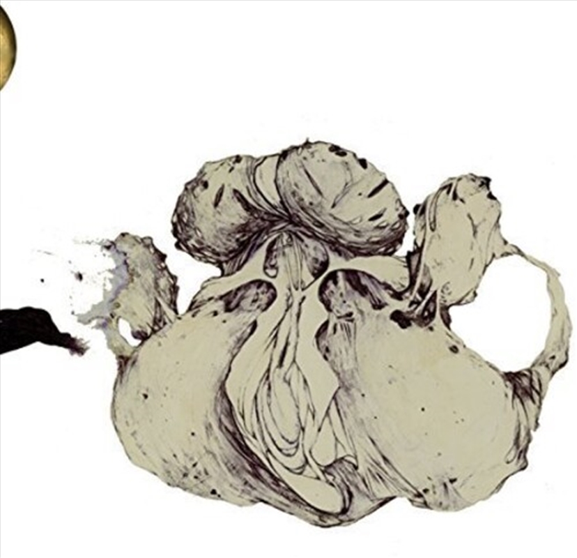 Ape Of Naples/Product Detail/Dance