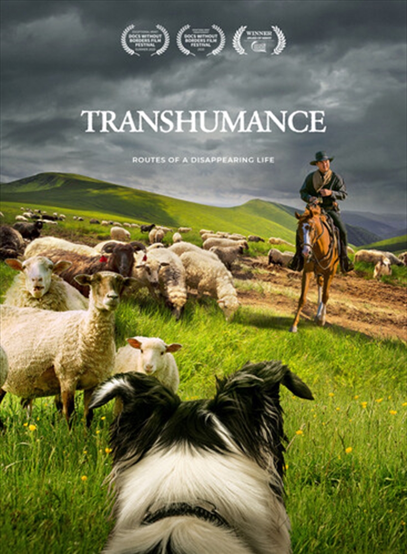 Transhumance - Routes To A Disappearing Life/Product Detail/Documentary