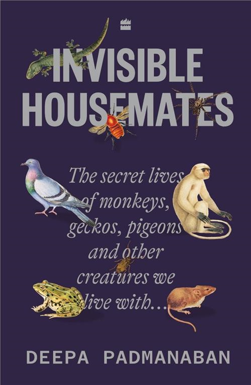 Invisible Housemates/Product Detail/Animals & Nature
