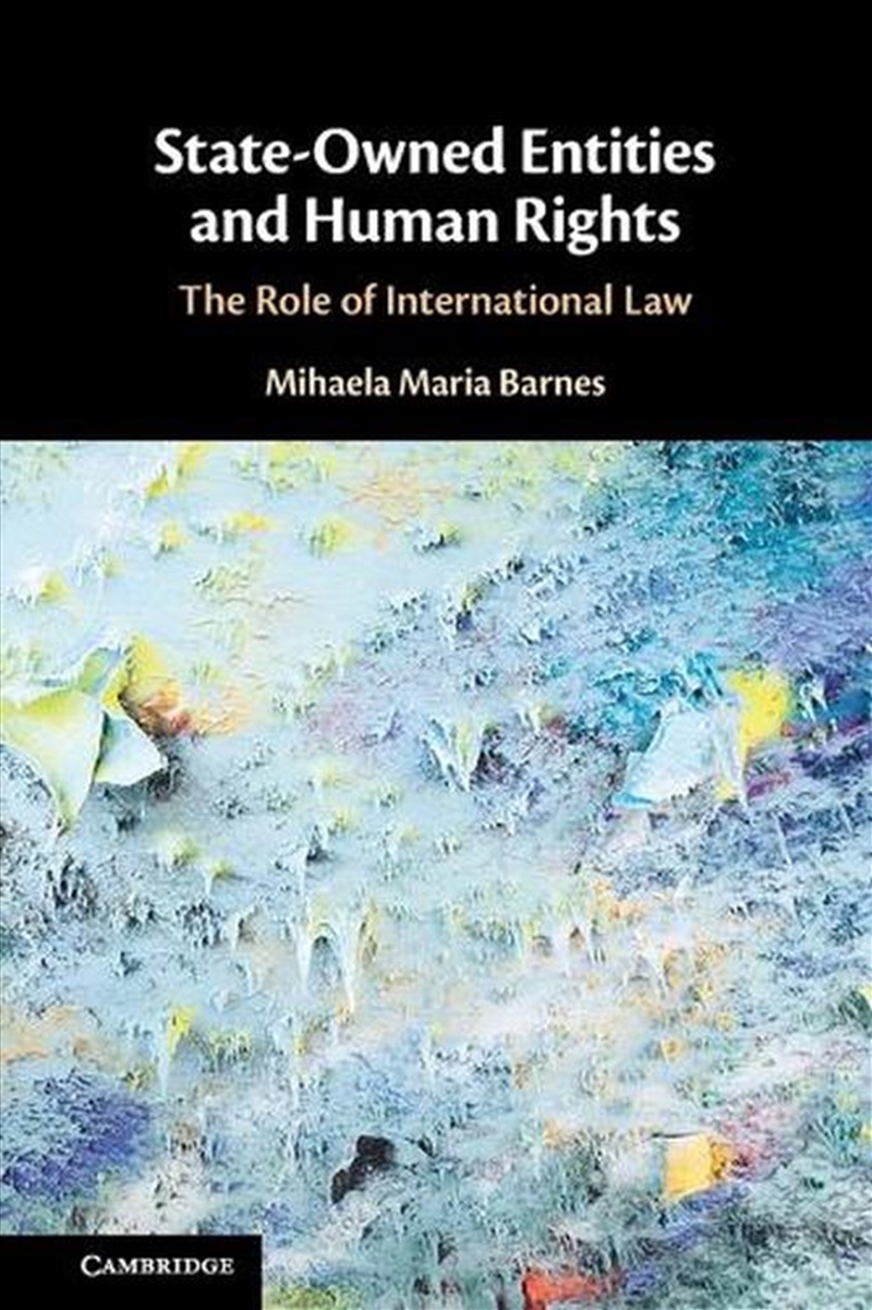 State-Owned Entities And Human Rights : The Role Of International Law/Product Detail/Law