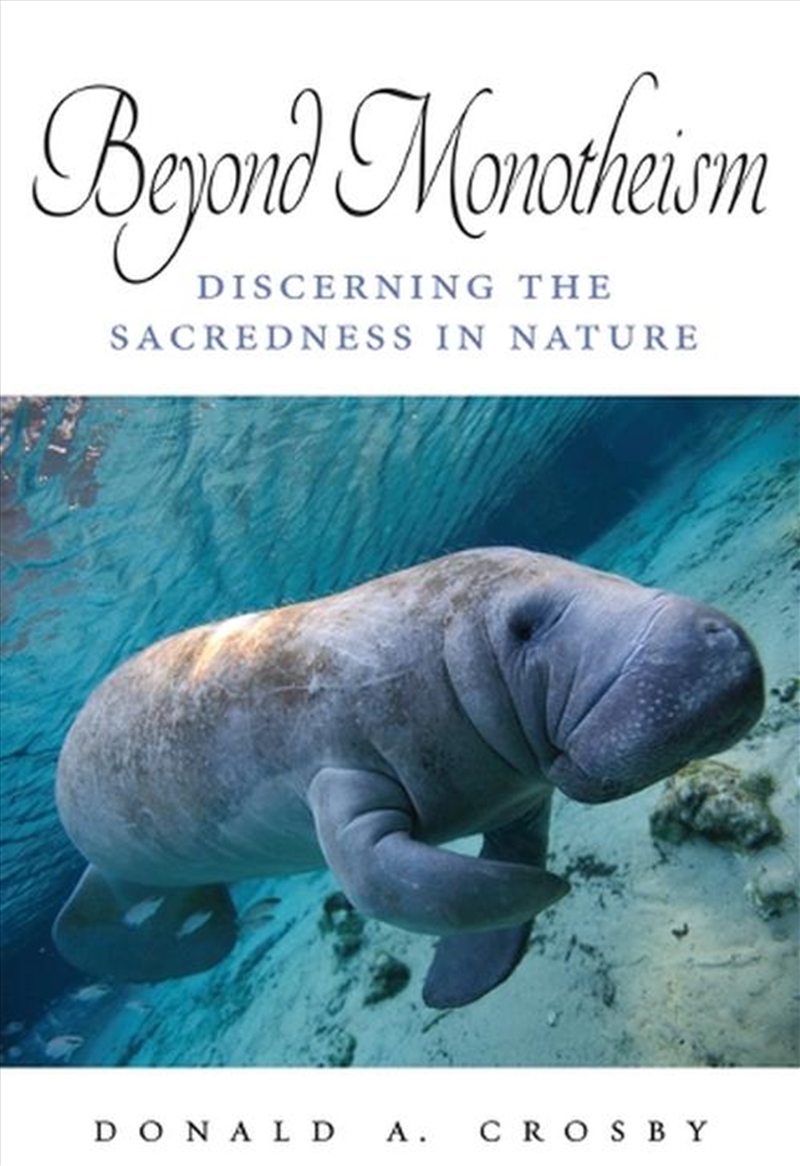 Beyond Monotheism : Discerning The Sacredness In Nature/Product Detail/Religion & Beliefs