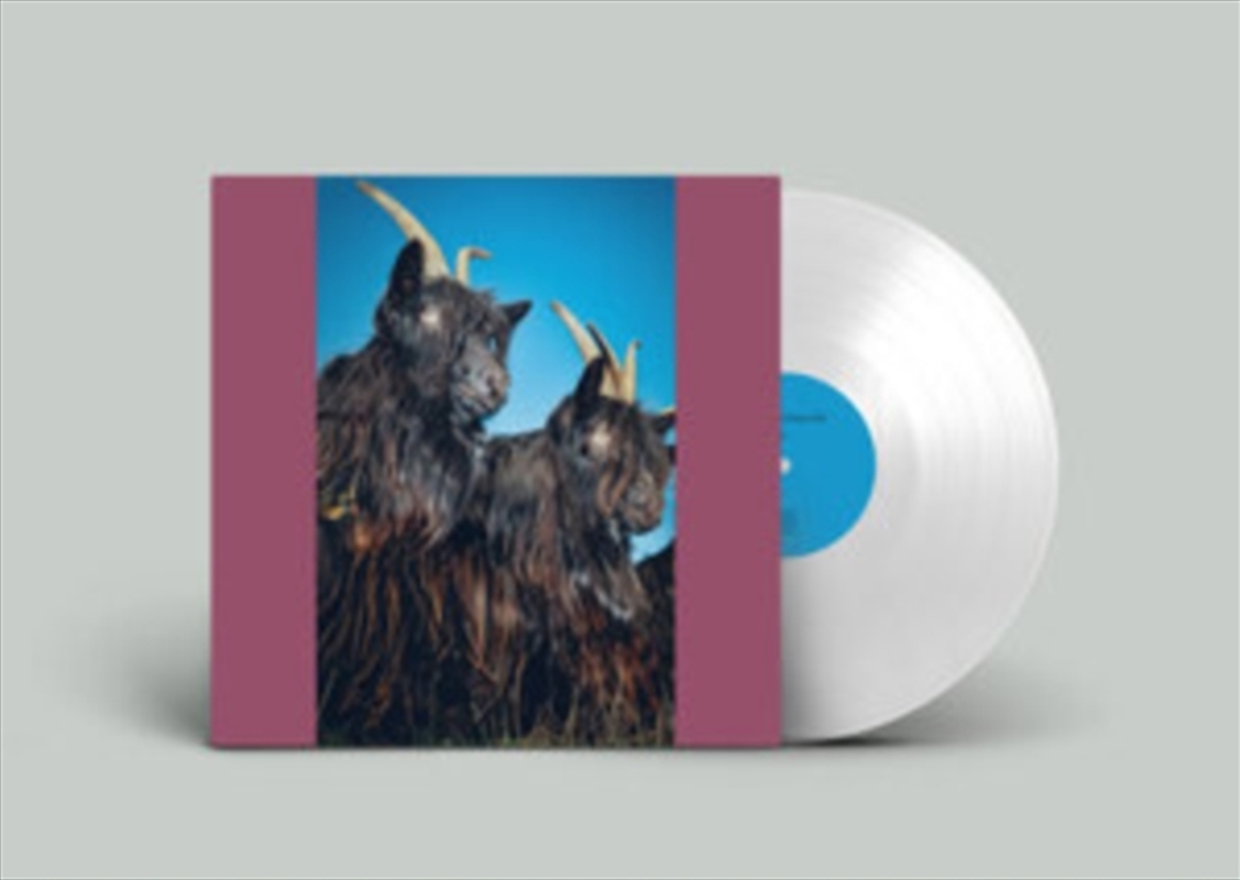 Silence Will Never Die - White Vinyl/Product Detail/Dance