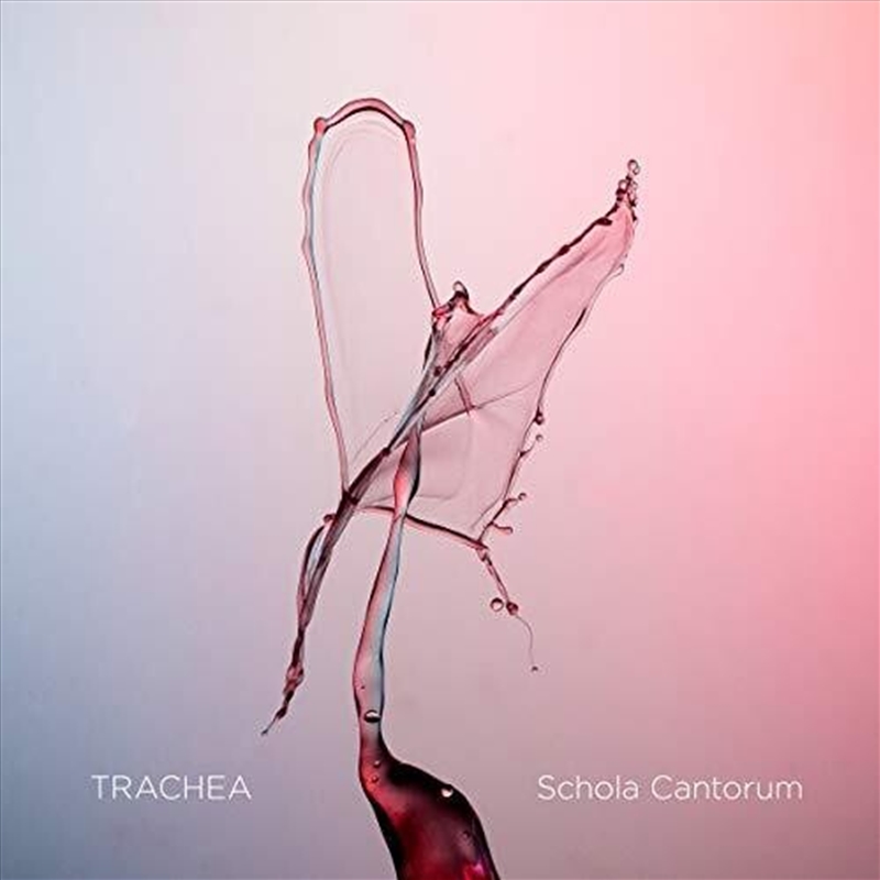 Trachea/Product Detail/Classical