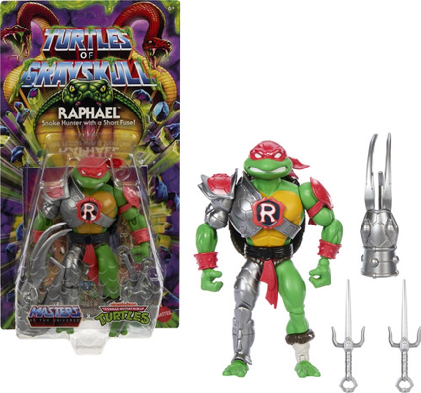 Mattel Collectible - Turtles of Grayskull - Raphael Action Figure (He-Man, MOTU, TMNT)/Product Detail/Figurines