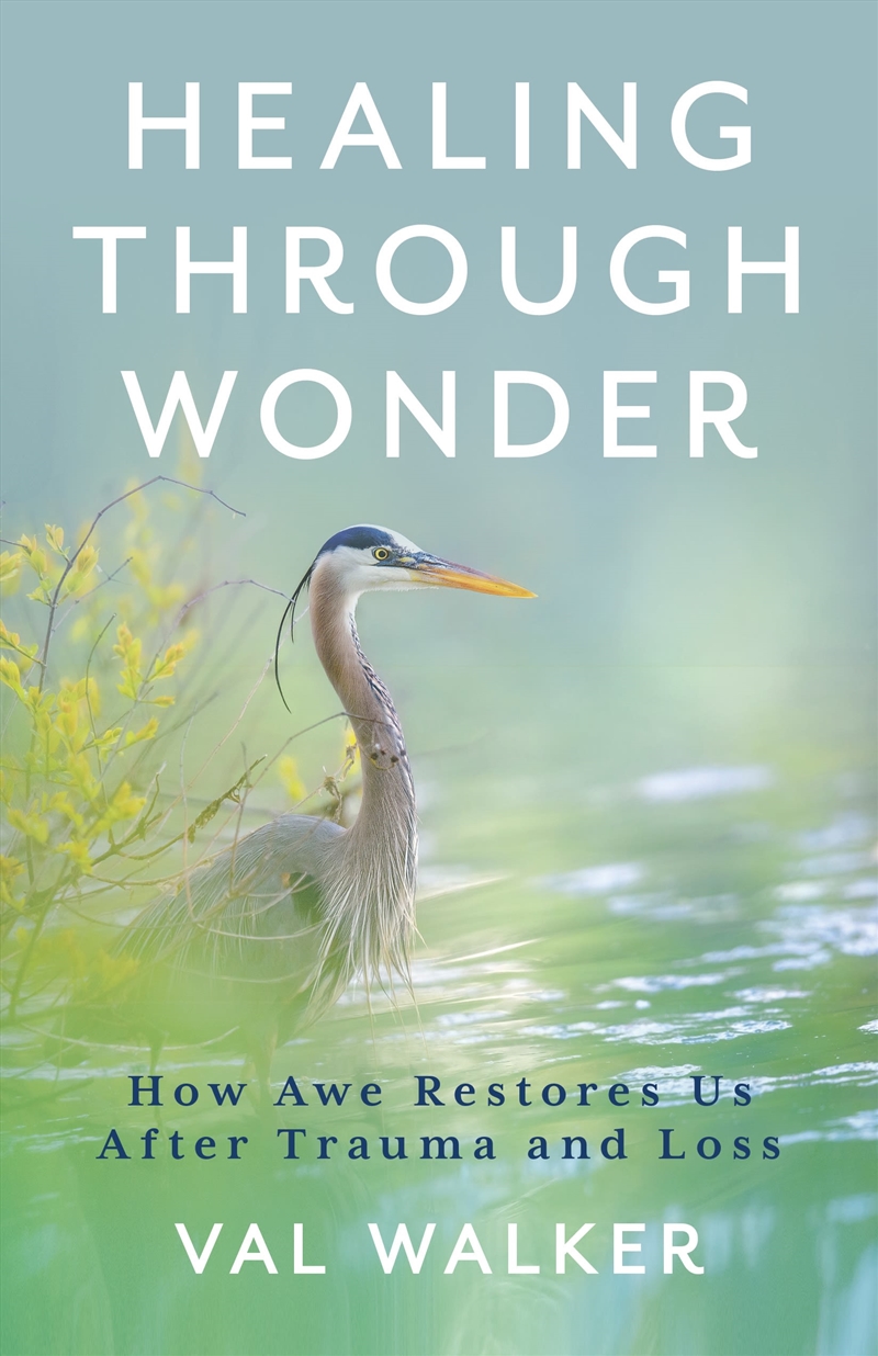 Healing Through Wonder: How Awe Restores Us After Trauma and Loss/Product Detail/Family & Health