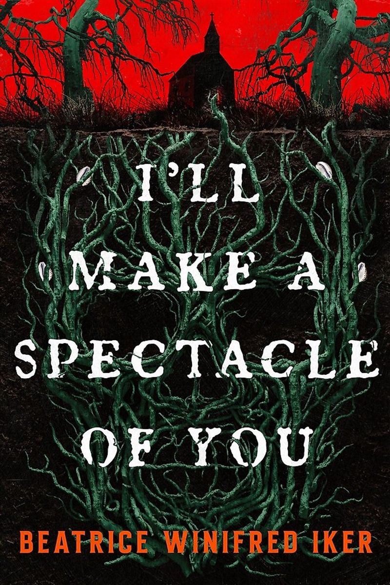 I'll Make A Spectacle of You/Product Detail/Fantasy Fiction