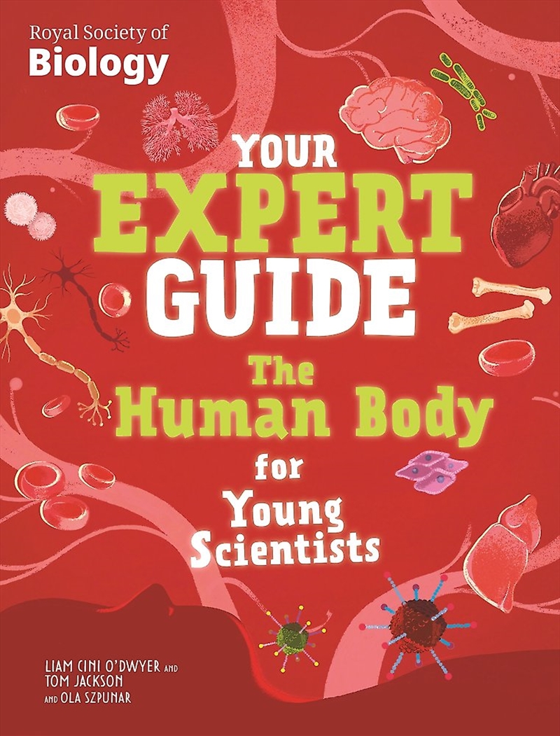 Your Expert Guide: The Human Body for Young Scientists/Product Detail/Childrens