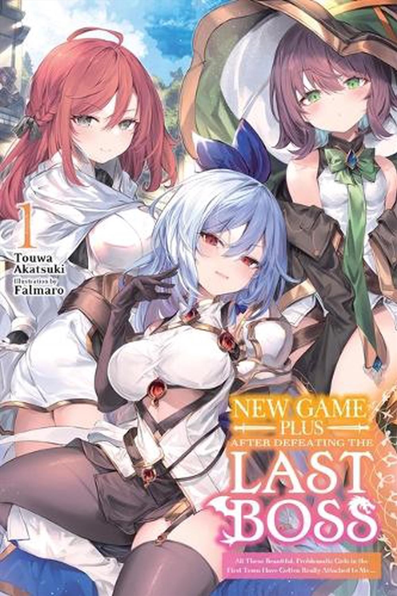 New Game Plus After Defeating the Last Boss, Vol. 1 (light novel)/Product Detail/Manga
