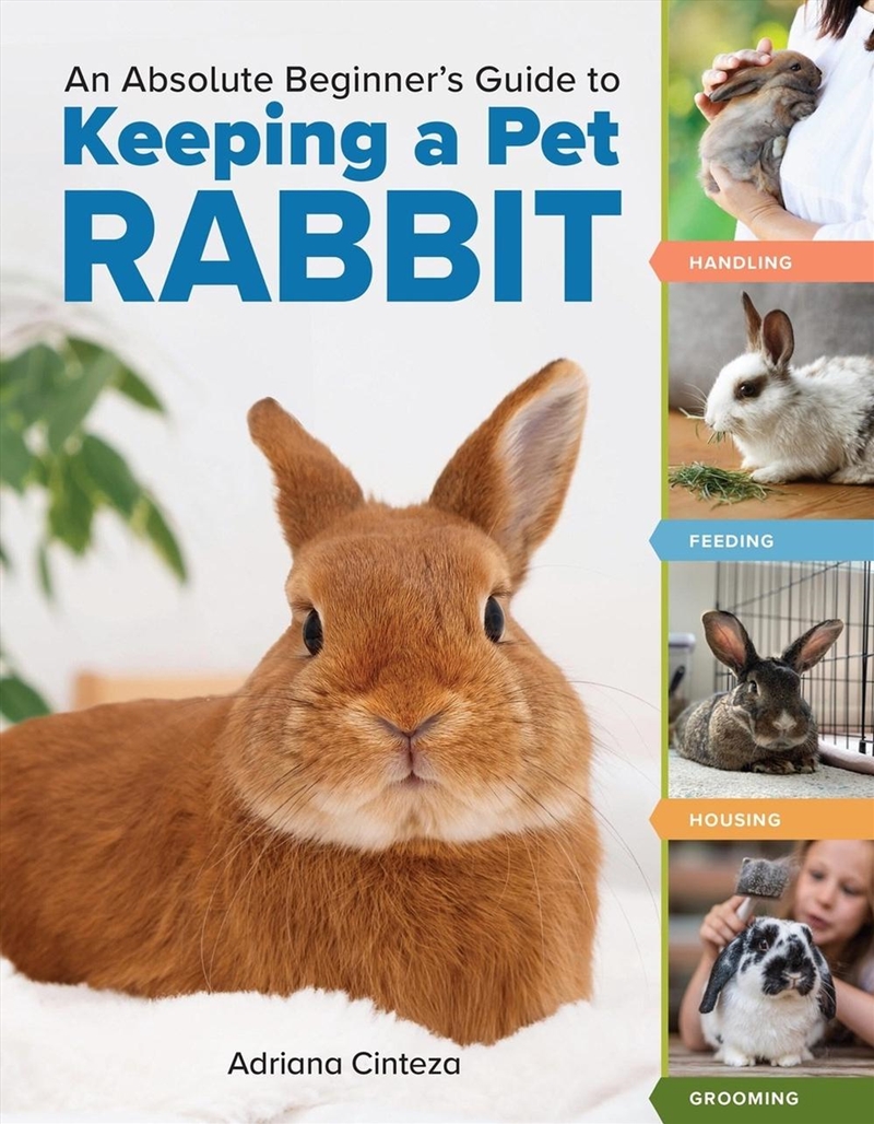 An Absolute Beginner's Guide to Keeping a Pet Rabbit/Product Detail/Animals & Nature