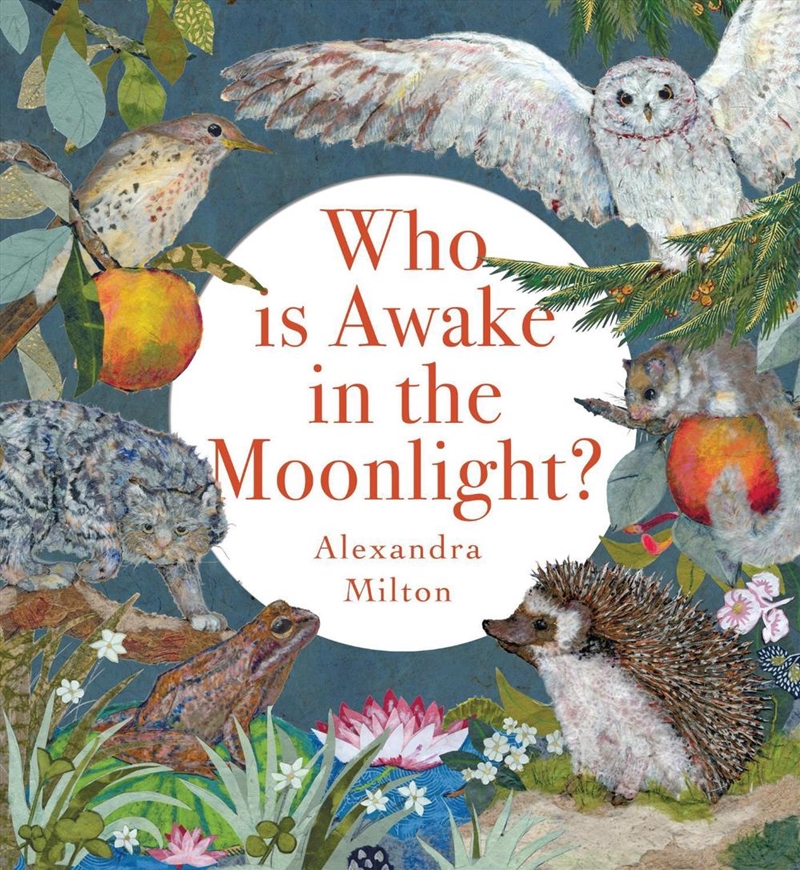 Who Is Awake In The Moonlight?/Product Detail/Early Childhood Fiction Books