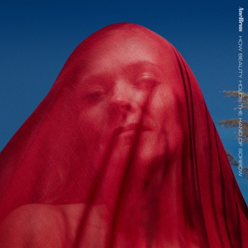 How Beauty Holds The Hand Of Sorrow/Product Detail/Rock/Pop
