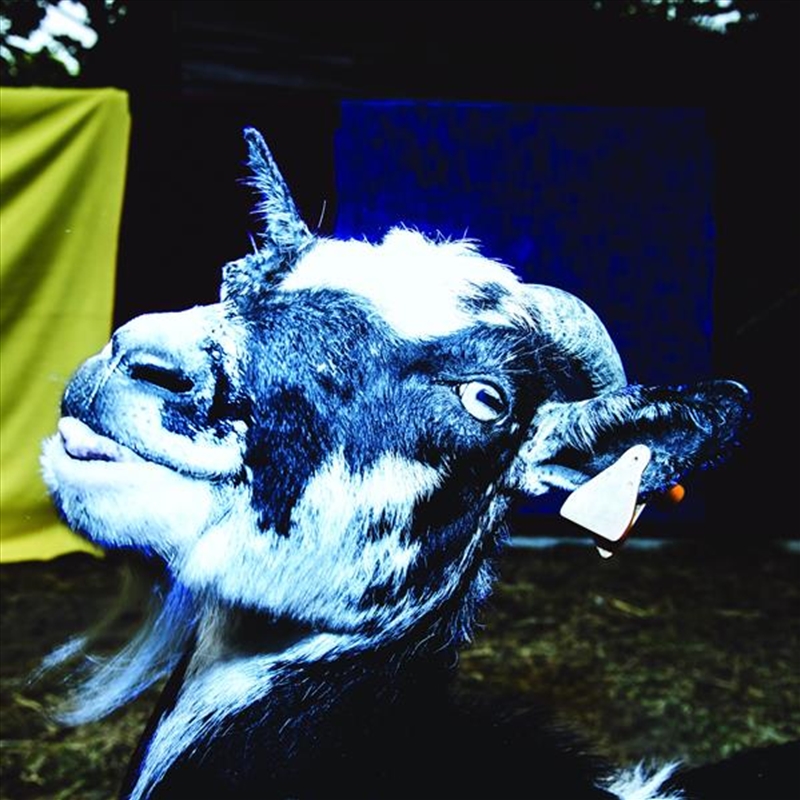 Day Trip To The Petting Zoo/Product Detail/Rock/Pop