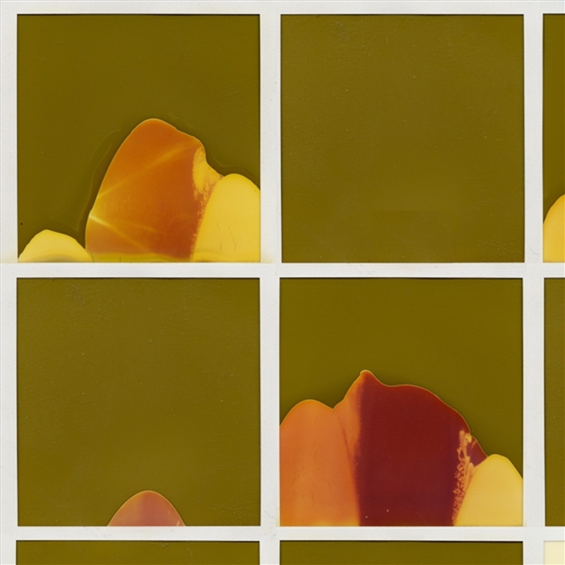 For Afie/Product Detail/Rock/Pop