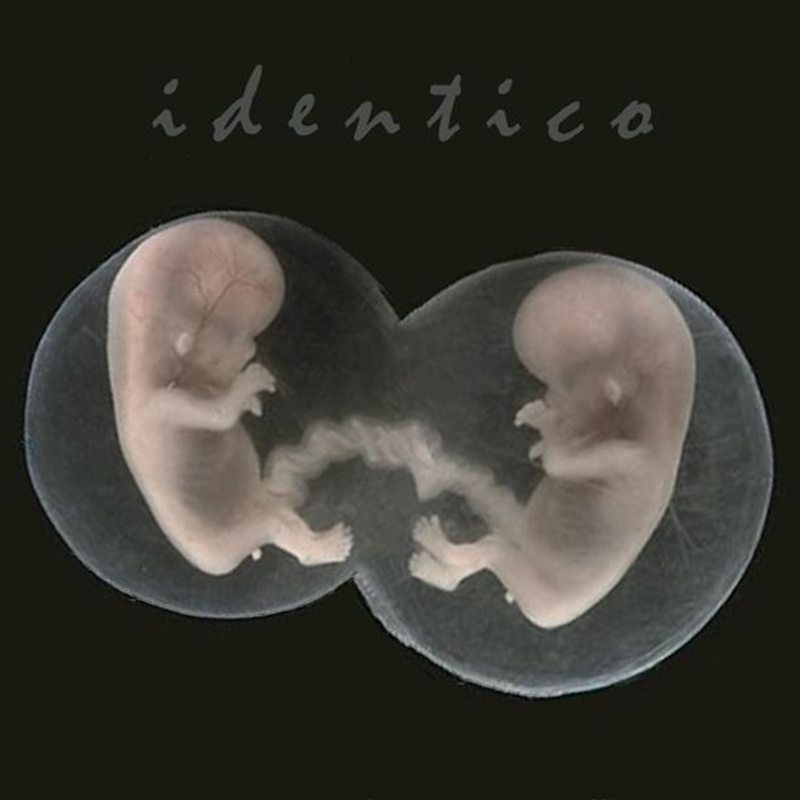 Identico/Product Detail/Rock/Pop