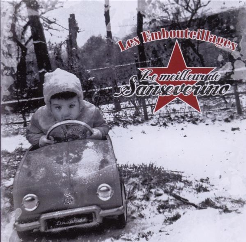 Le Meilleur De Sanseverino/Product Detail/Rock/Pop