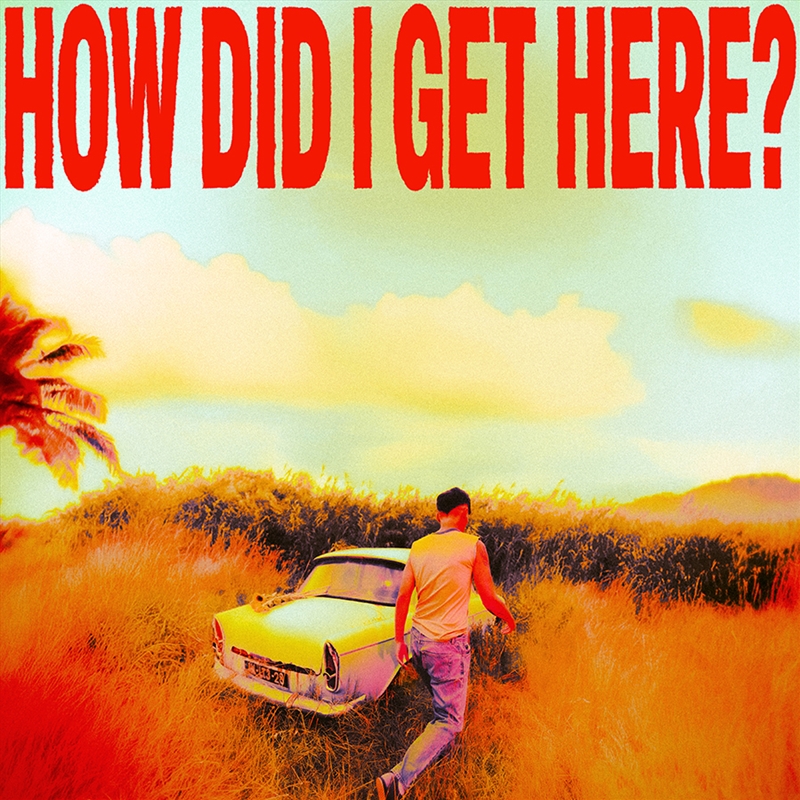 How Did I Get Here? - Clear Vinyl/Product Detail/Pop