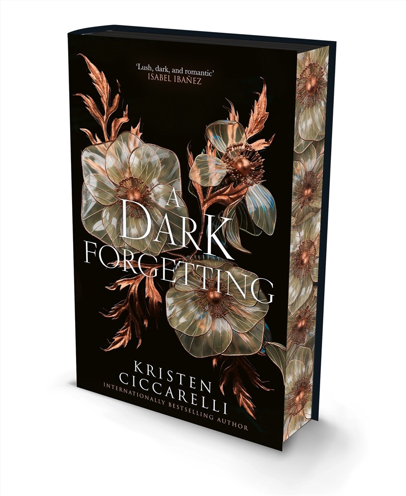 A Dark Forgetting [Special Edition]/Product Detail/Fantasy Fiction