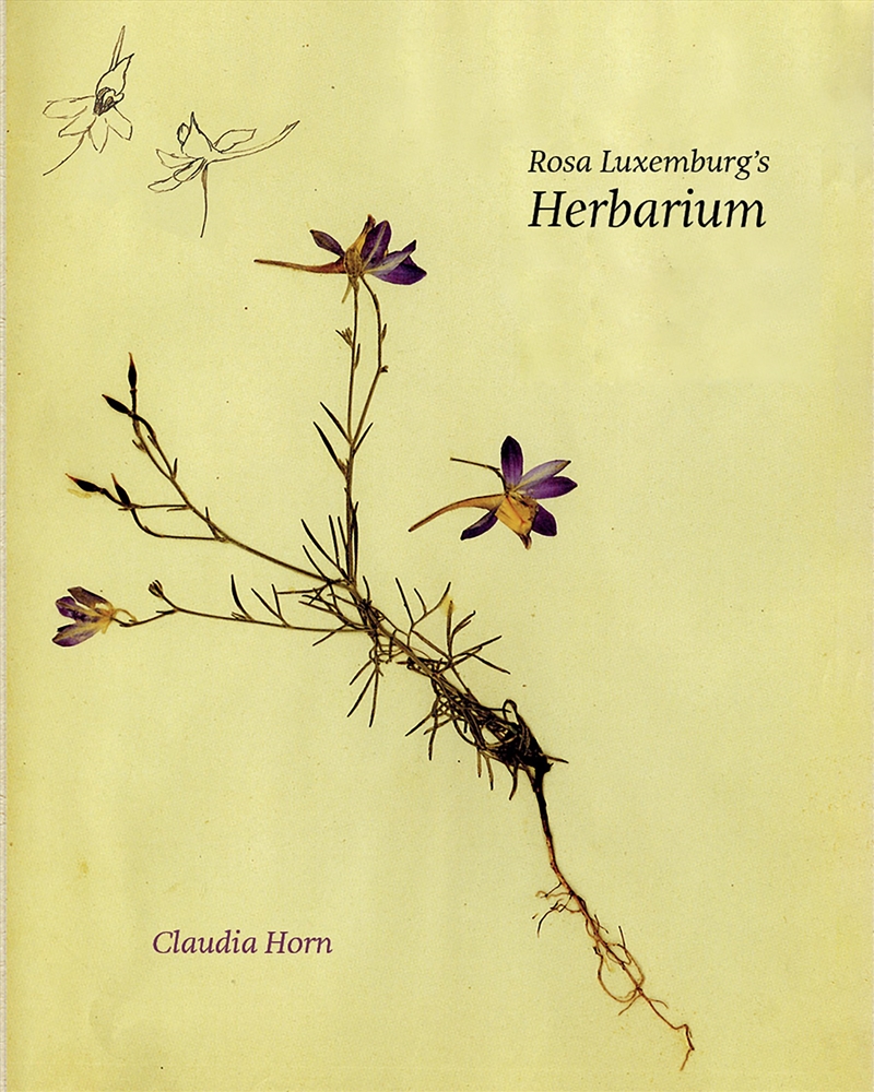 Rosa Luxemburg's Herbarium/Product Detail/Childrens Fiction Books