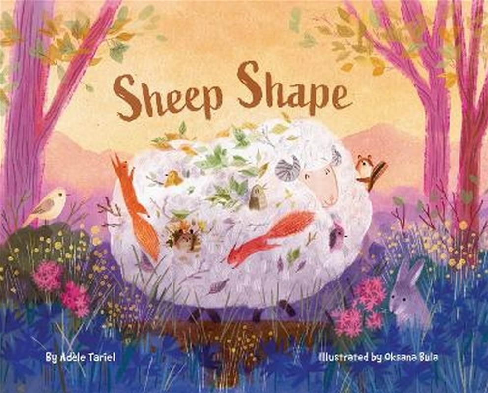 Sheep Shape/Product Detail/Childrens Fiction Books