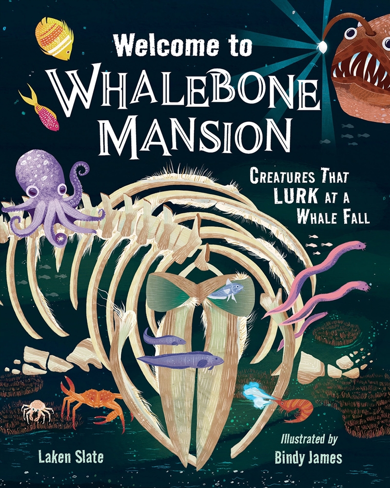 Welcome To Whalebone Mansion/Product Detail/Children