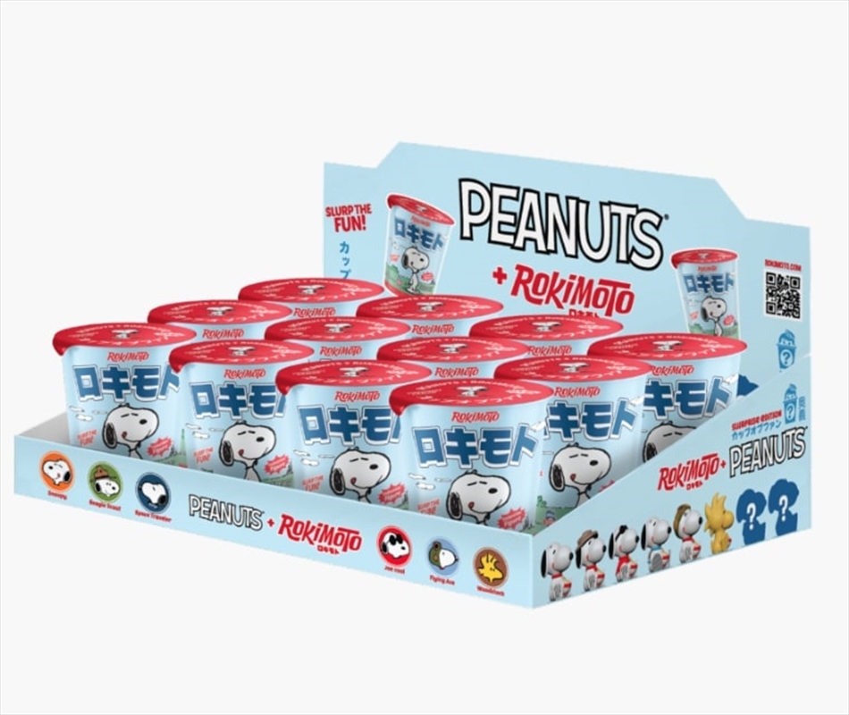 Rokimoto - Peanuts Vinyl Figure Blind Box Wave 3 (SENT AT RANDOM)/Product Detail/Figurines
