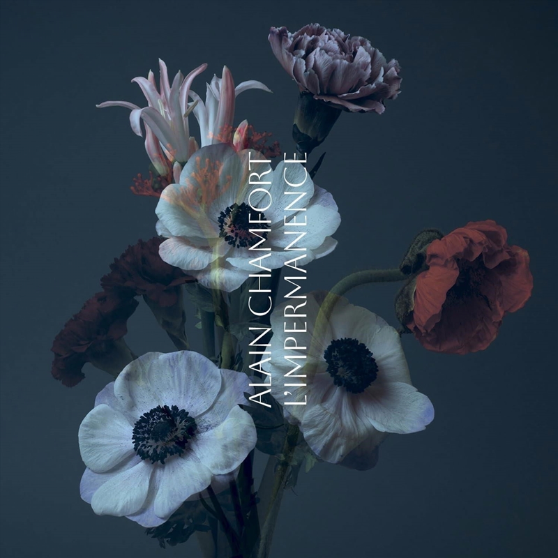L impermanence/Product Detail/Rock/Pop