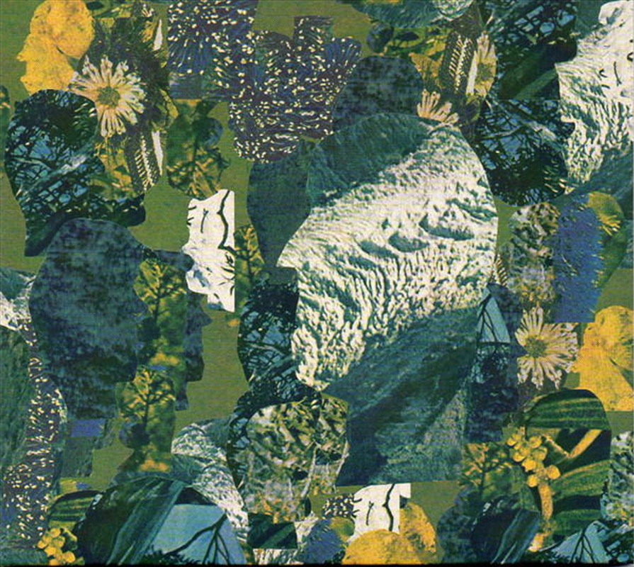 Calypso/Product Detail/Rock/Pop