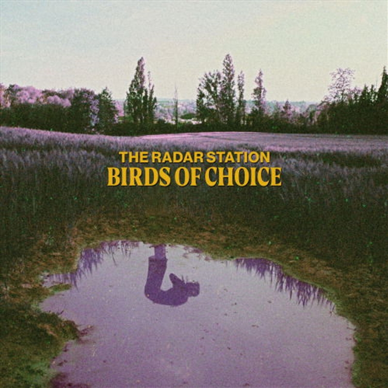 Birds Of Choice/Product Detail/Rock/Pop
