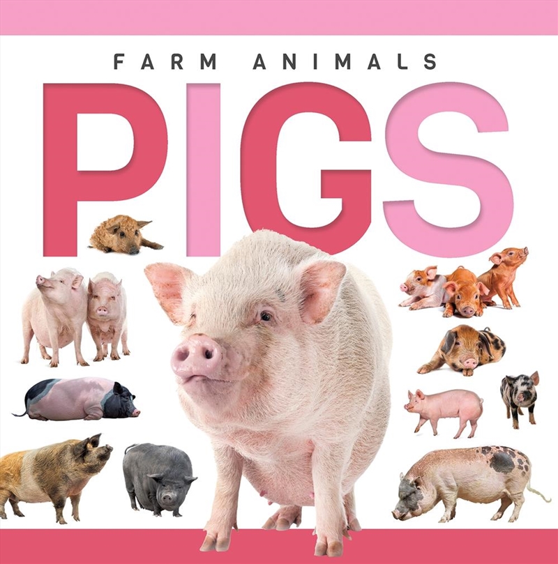 Genius Kid: Farm Animals: Pigs/Product Detail/Childrens