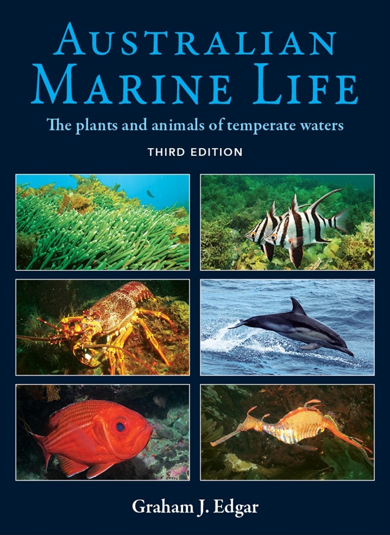 Australian Marine LIfe/Product Detail/Animals & Nature
