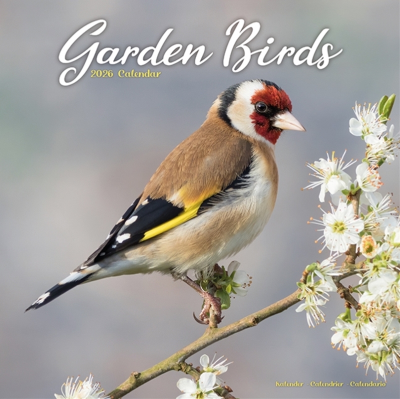 Garden Birds Calendar 2026 Square Birds Wall Calendar - 16 Month/Product Detail/Calendars & Diaries