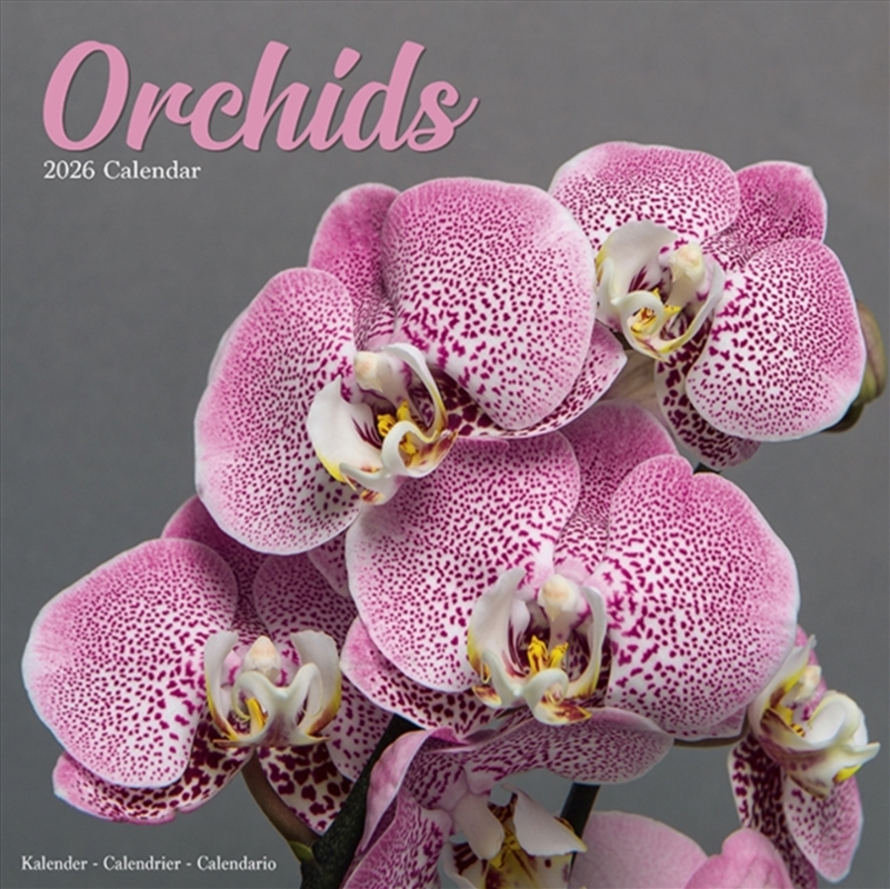 Orchids Calendar 2026 Square Flowers Wall Calendar - 16 Month/Product Detail/Calendars & Diaries