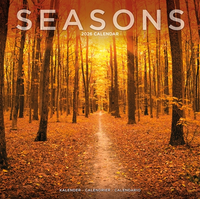 Seasons Calendar 2026 Square Scenic Wall Calendar - 16 Month/Product Detail/Calendars & Diaries
