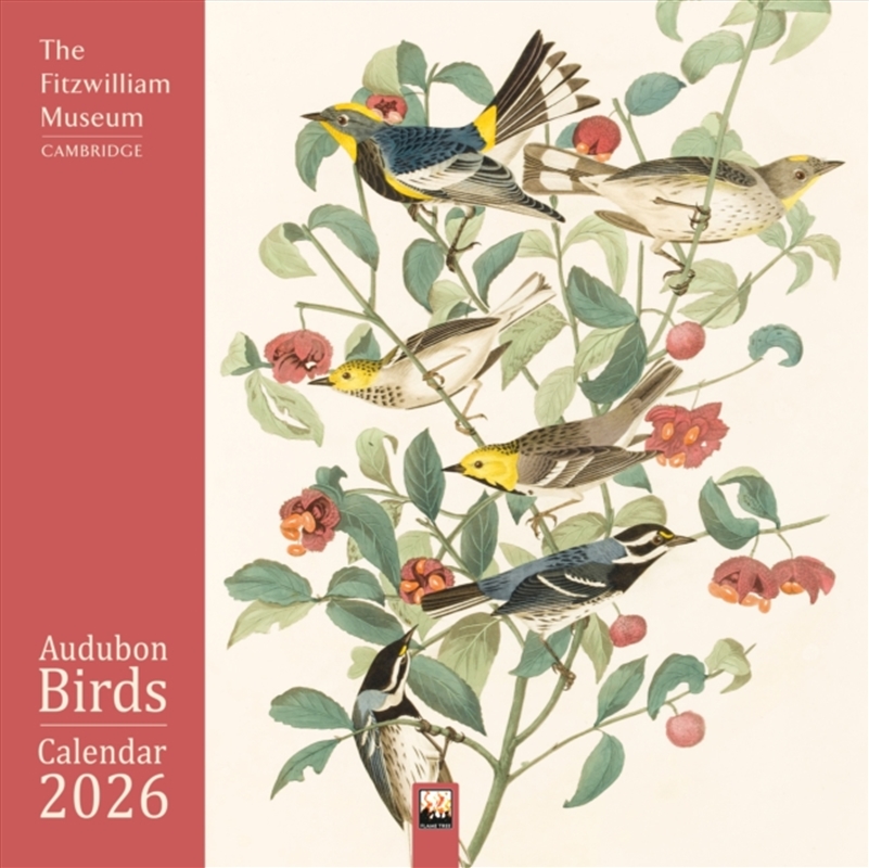 Fitzwilliam Museum: Audubon Birds Wall Calendar 2026 (Art Calendar)/Product Detail/Calendars & Diaries