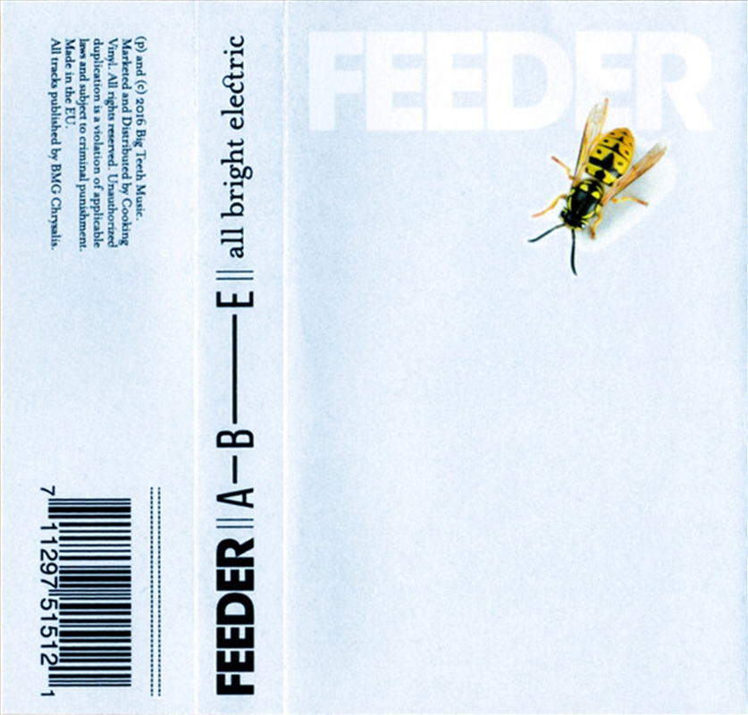 All Bright Electric/Product Detail/Rock/Pop