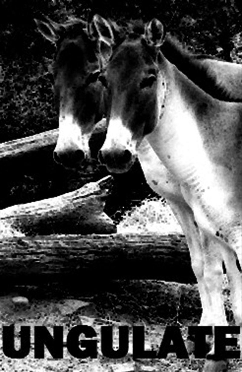 Sex Having Disco/Product Detail/Dance