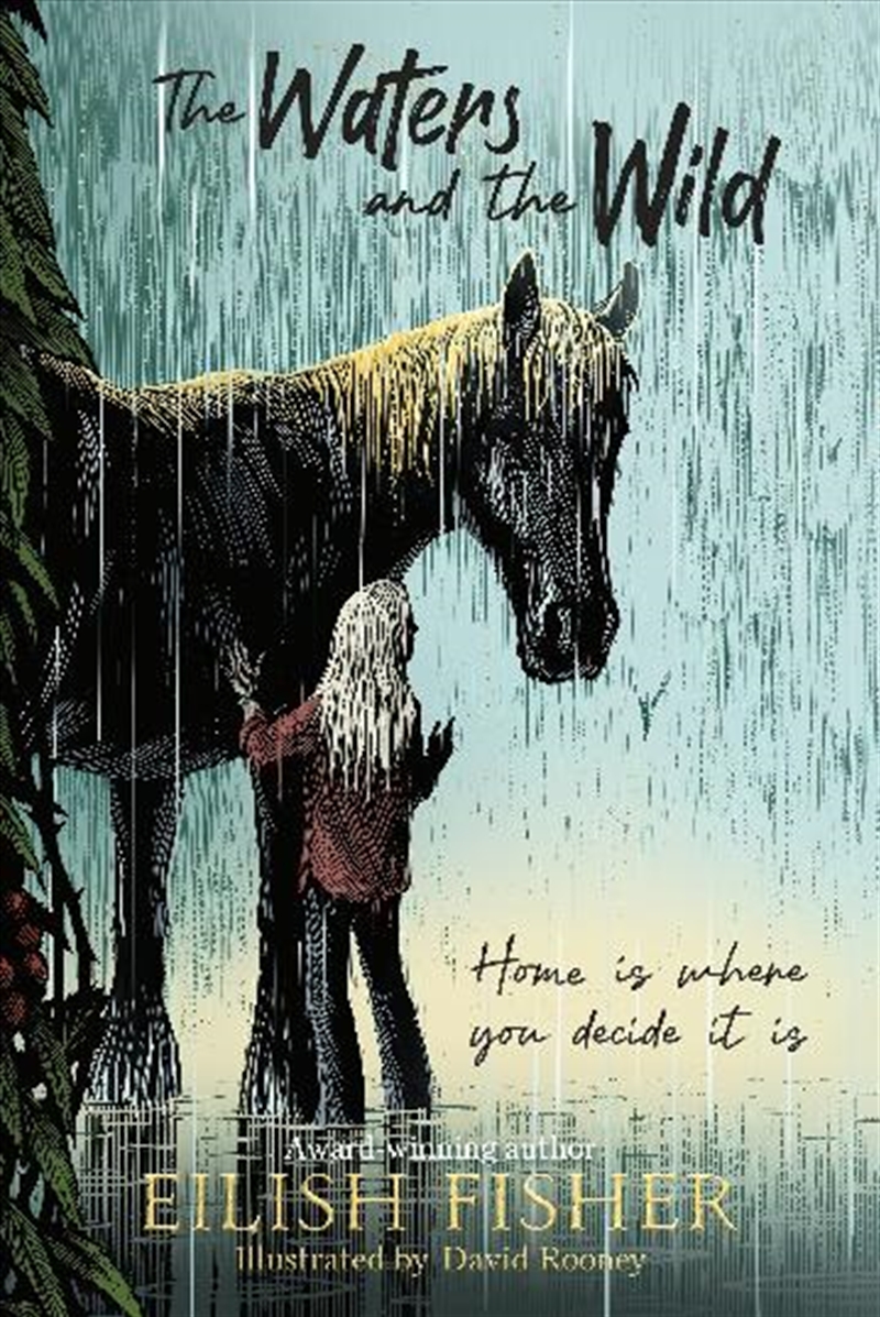 The Waters And The Wind/Product Detail/Childrens Fiction Books