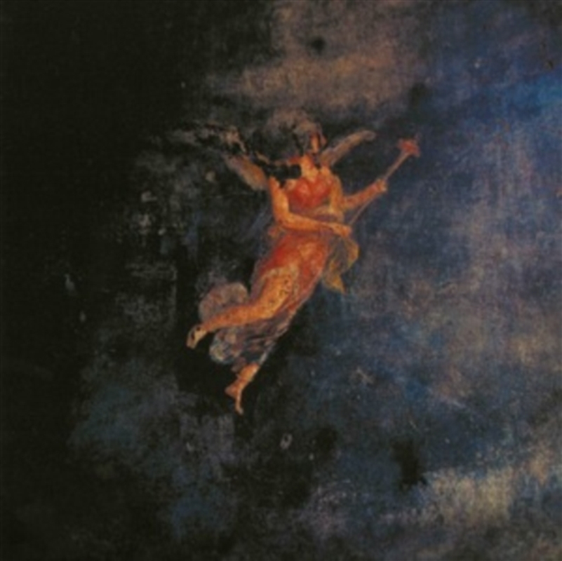 When I Sing I Slip Into Microphone Into That Void/Product Detail/Rock/Pop