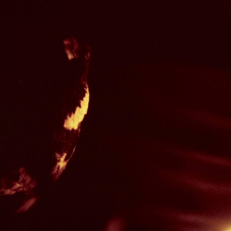 Stormcrowfleet - 30th Anniversary Edition/Product Detail/Metal