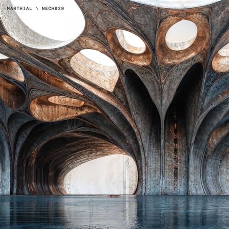 Nech029/Product Detail/Dance