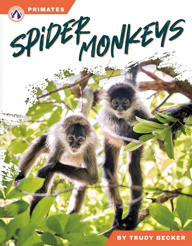 Primates: Spider Monkeys/Product Detail/Childrens