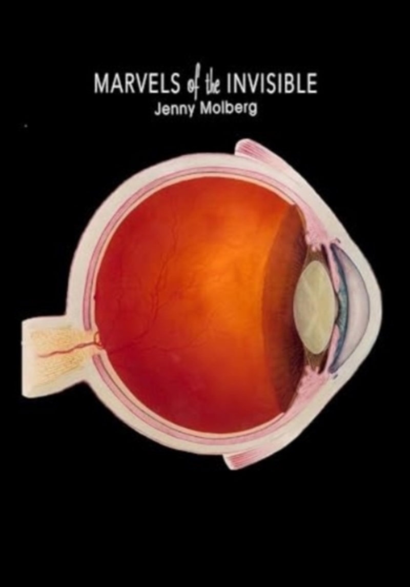 Marvels Of The Invisible : Poems (Tupelo Press First / Second Book Award)/Product Detail/Literature & Poetry