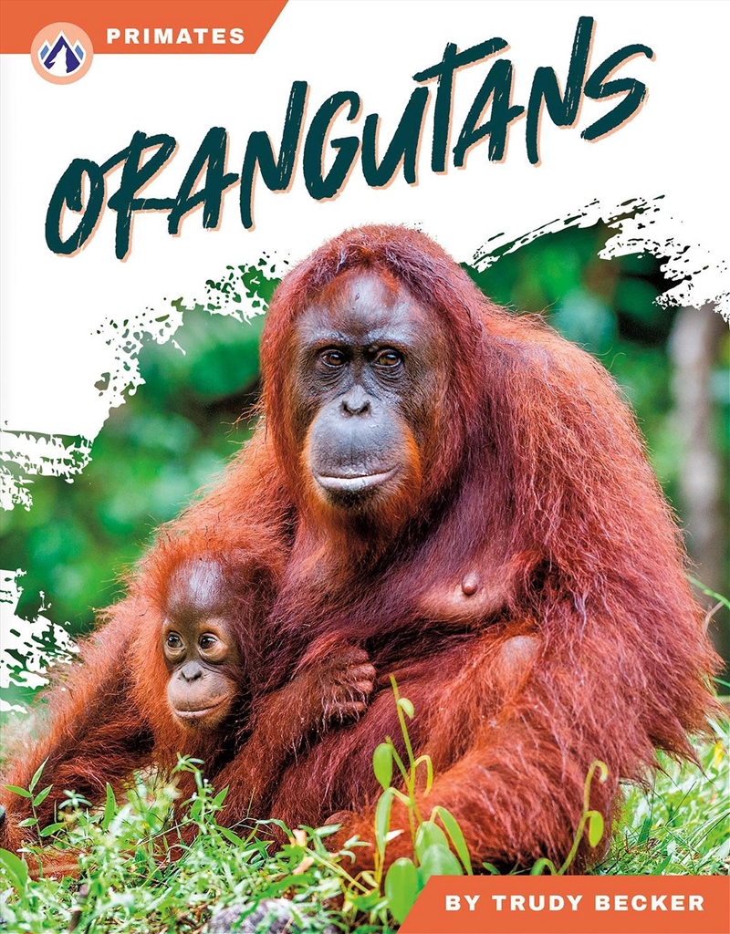 Primates: Orangutans/Product Detail/Childrens
