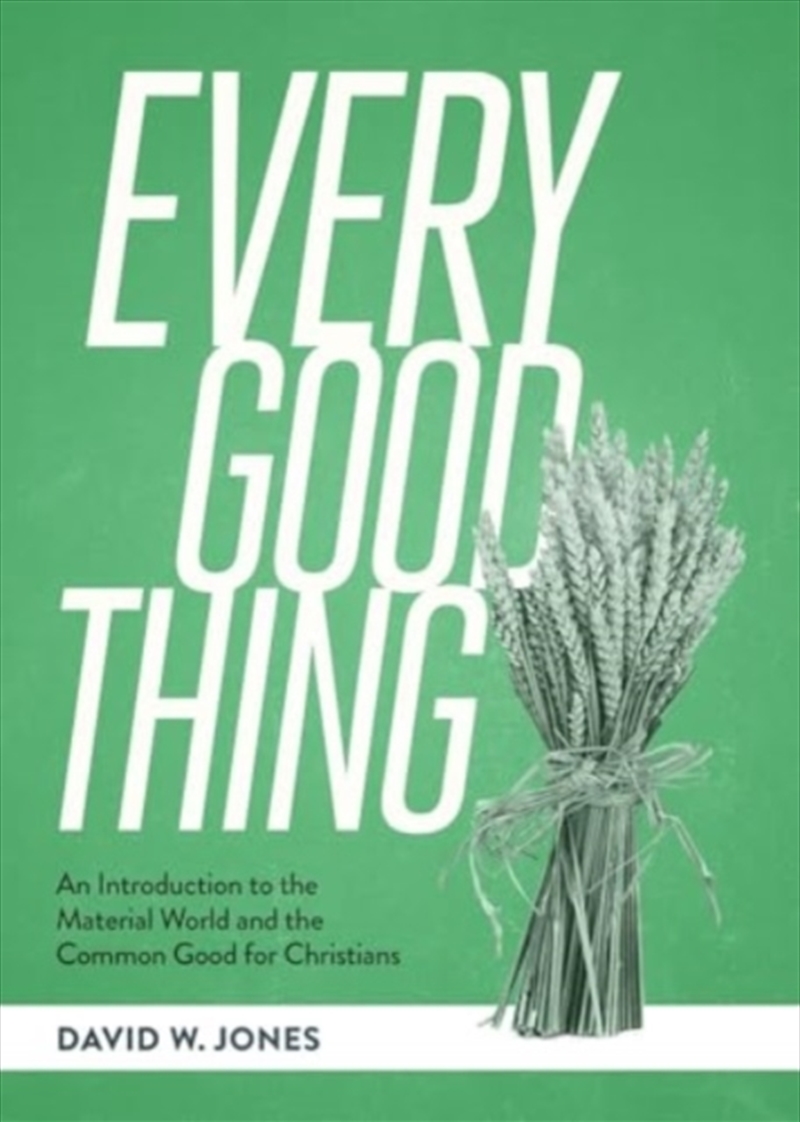 Every Good Thing : An Introduction To The Material World And The Common Good For Christians/Product Detail/Religion & Beliefs