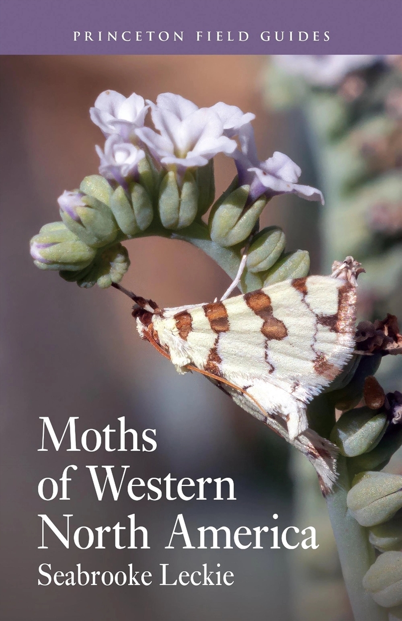 Moths of Western North America/Product Detail/Animals & Nature
