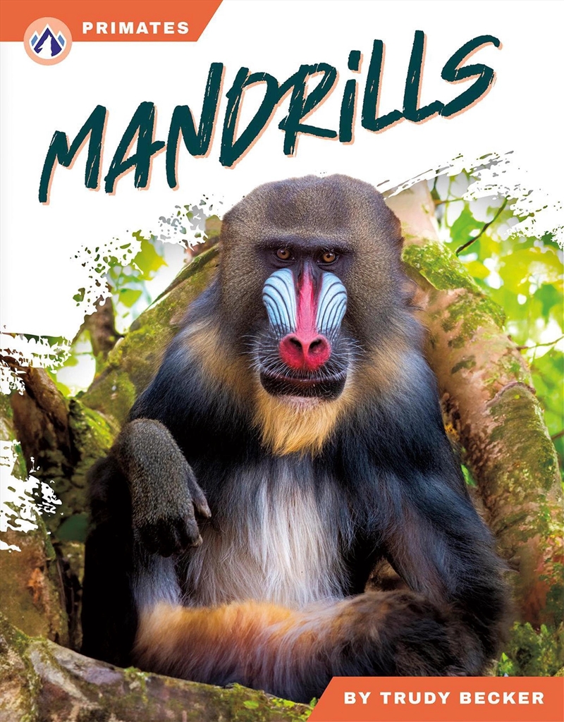 Primates: Mandrills/Product Detail/Childrens