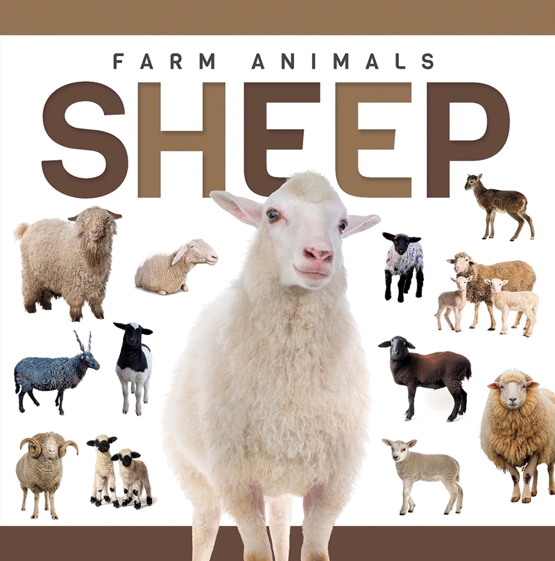 Genius Kid: Farm Animals: Sheep/Product Detail/Childrens